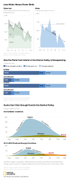 Drought effects along Avian Highways three visualizations showing an area chart with the trend of the number of waterfowl and water by year, a bar chart for how habitat changes during a normal versus drought year and an area chart showing food supply in the Central Valley during a normal/drought year