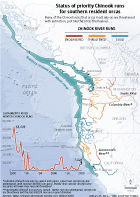 Locator map of Chinook run status along the west coast
