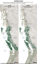 Historic and current acres of coastal rainforest in British Columbia