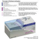 Types of Northwest Earthquakes diagram and chart