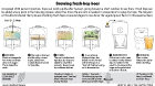 Process diagram on how to brew fresh hop beer like Cloudburst Brewing in Seattle