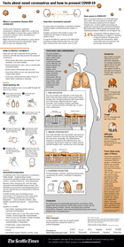 An infographic covering what is coronavirus, how it spreads, how severe it is, symptoms, how it impacts your body and how to protect yourself through handwashing and cleaning