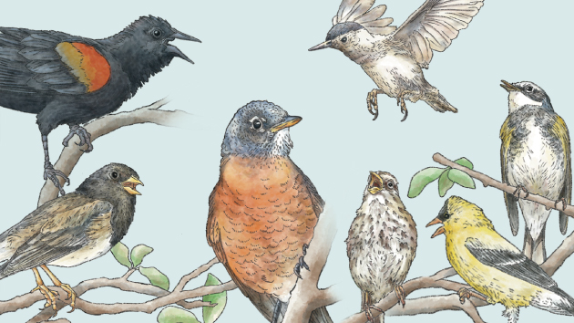 Hex map of TikTok video regions