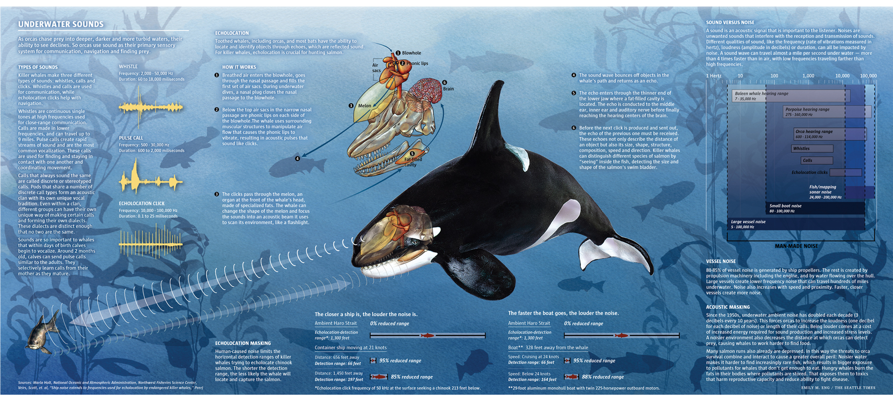 Hostile Waters: Roar Below infographic